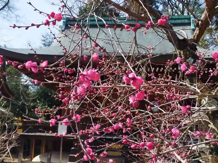 北野天満宮(京都府)