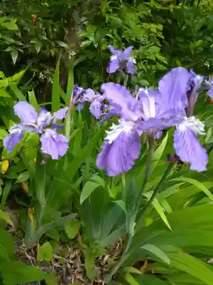 国宝 長寿寺(滋賀県)