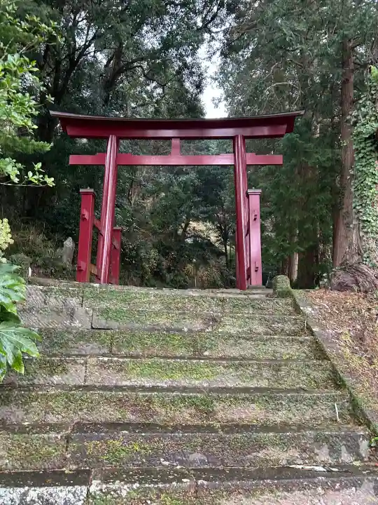 賀茂神社の{uncategorized: "未分類", other: "その他", undefined: "問題あり", building: "その他建物", grave: "お墓", sacred_gate: "鳥居", guardian: "狛犬", statue: "像", buddha: "仏像", history: "歴史", nature: "自然", garden: "庭園", animal: "動物", pagoda: "塔", temizu: "手水舎", mountain_gate: "山門・神門", sanctuary: "本殿・本堂", subordinate: "末社・摂社", art: "芸術", scenery: "景色", jizo: "地蔵", ema: "絵馬", goshuin: "御朱印", omikuji: "おみくじ", items: "授与品その他", amulet: "お守り", goshuincho: "御朱印帳", eats: "食事", festival: "お祭り", votive_dance: "神楽", shichigosan: "七五三参", wedding: "結婚式", experience: "体験その他", initially: "初詣", around: "周辺", anti_infection: "感染症対策"}