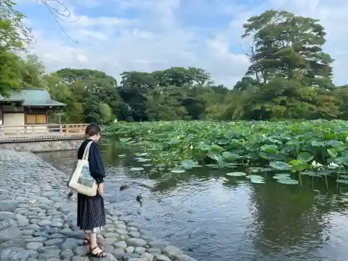 鶴岡八幡宮の庭園