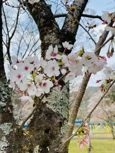 岩戸弘法弘峰寺の自然