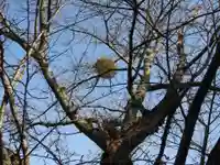 常住寺(三重県)