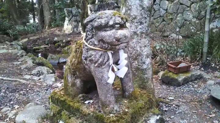氷上神社の狛犬