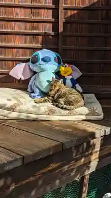 理安寺(大阪府)