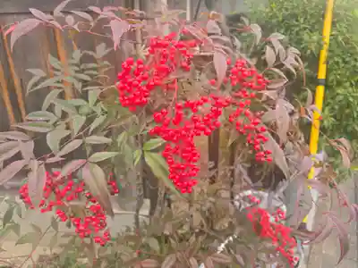 了峰禪寺(了峰寺)(京都府)