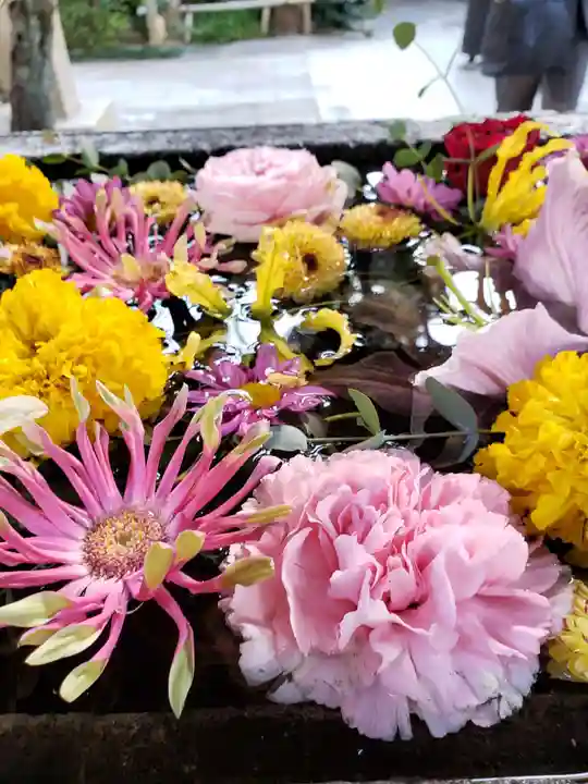 鳩森八幡神社の手水舎