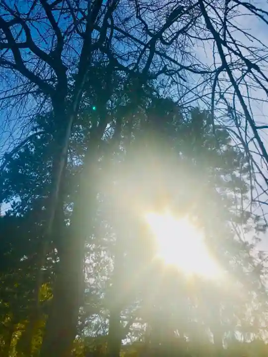 月読神社の自然