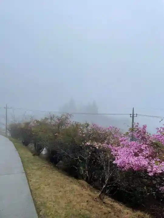 三峯神社(埼玉県)