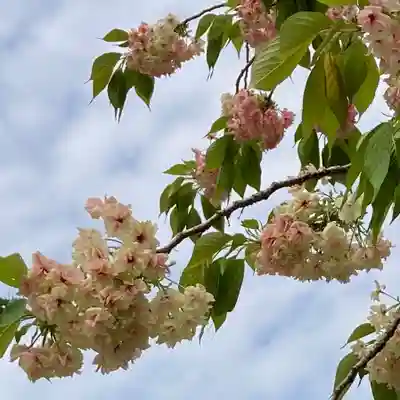 成田山新勝寺(千葉県)