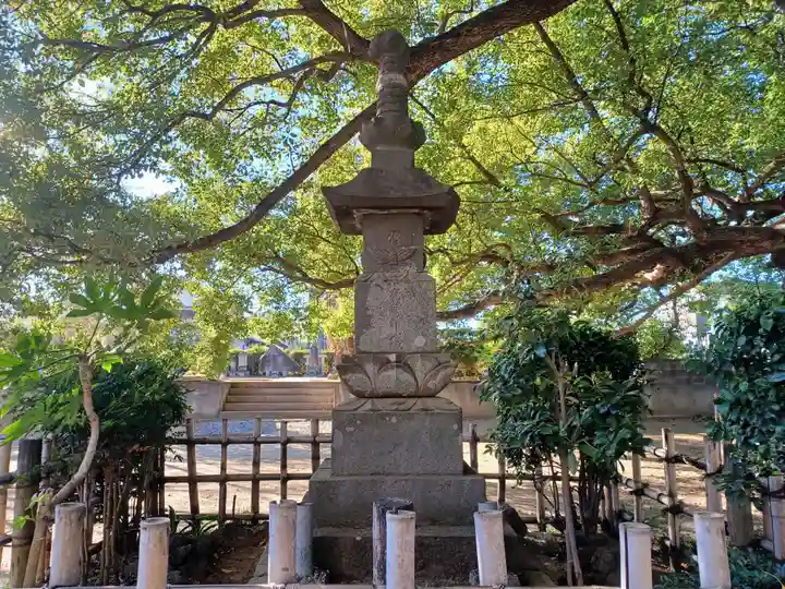 真福寺(埼玉県)