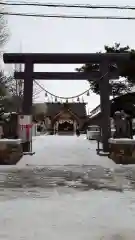 札幌村神社の鳥居