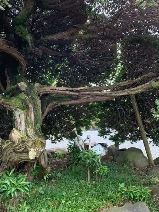 長清寺の建物その他