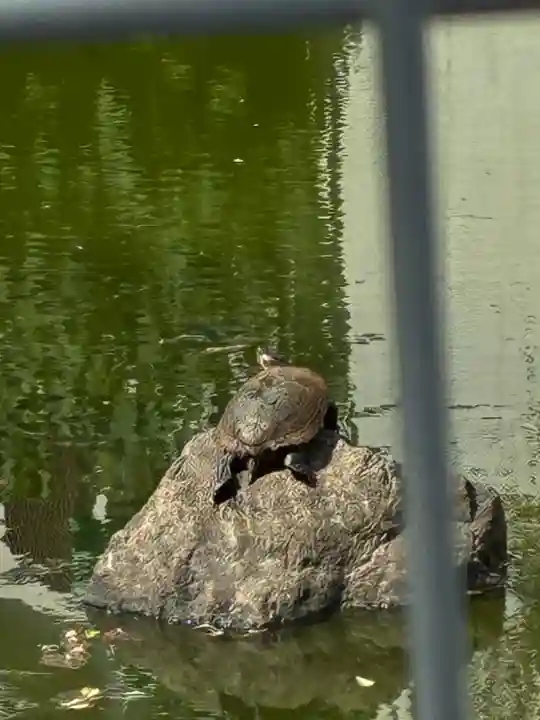 諏訪神社(大阪府)