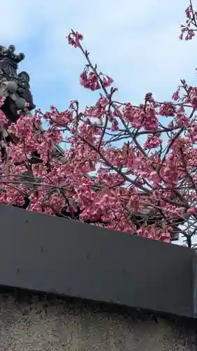 金佛殿 延壽寺（延寿寺）(京都府)