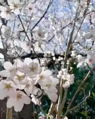 滑川神社 - 仕事と子どもの守り神の自然