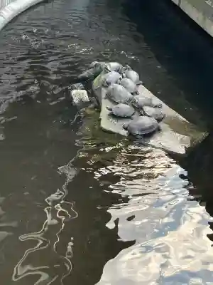 成田山川越別院(埼玉県)