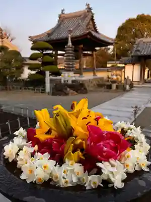 真言宗　善通寺派　薬王寺(香川県)