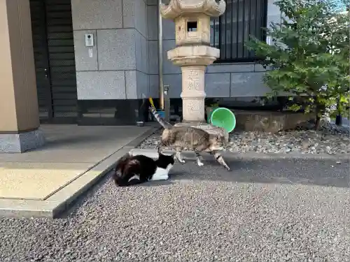 白金氷川神社(東京都)