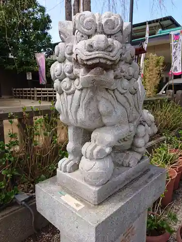 川越八幡宮の狛犬