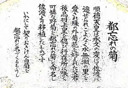 水無瀬神宮の御朱印