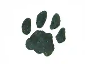 高司神社〜むすびの神の鎮まる社〜(福島県) 2024年02月22日(木)〜(2024年02月21日(水) 08時03分04秒投稿)