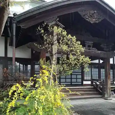 大泉寺の本殿・本堂