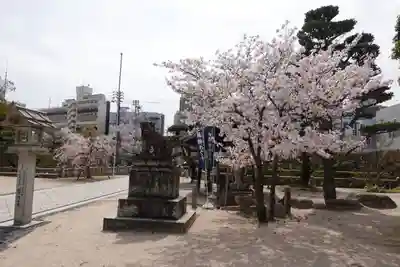 鶴羽根神社(広島県)