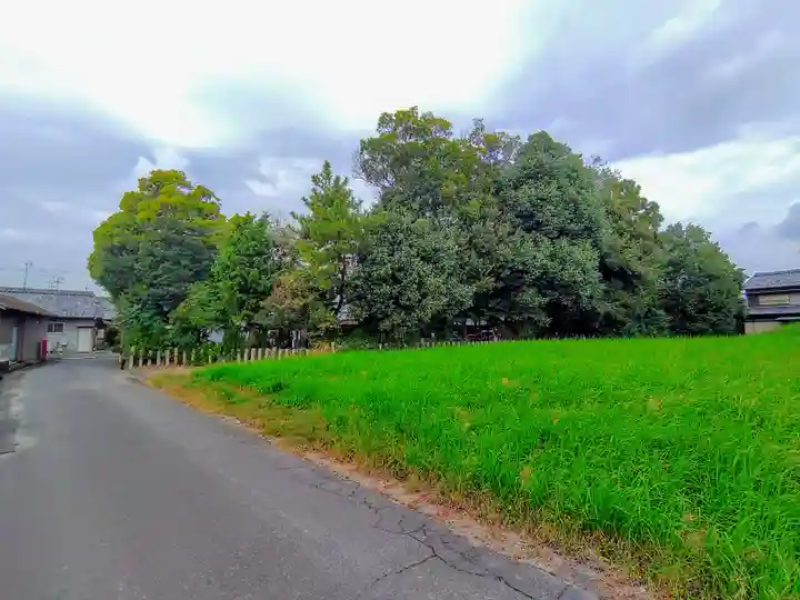 八幡社(下津)の自然