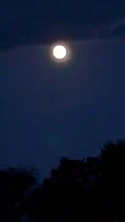 大覚寺(京都府)