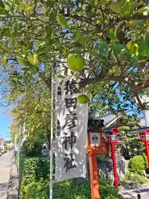 尾張猿田彦神社(愛知県)