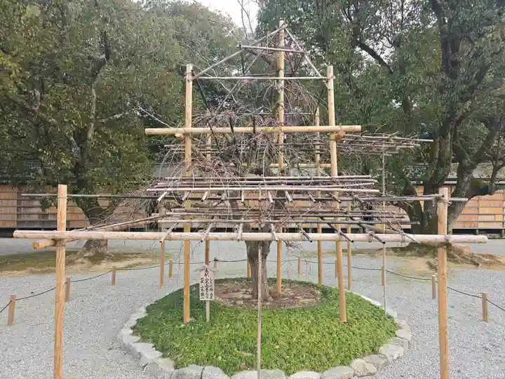 橿原神宮(奈良県)