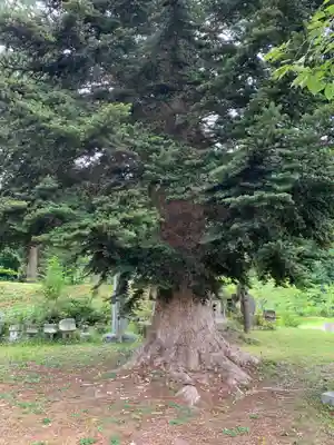 愛宕羽山両神社(山形県)