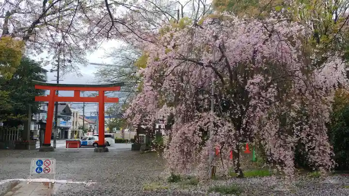 平野神社の自然