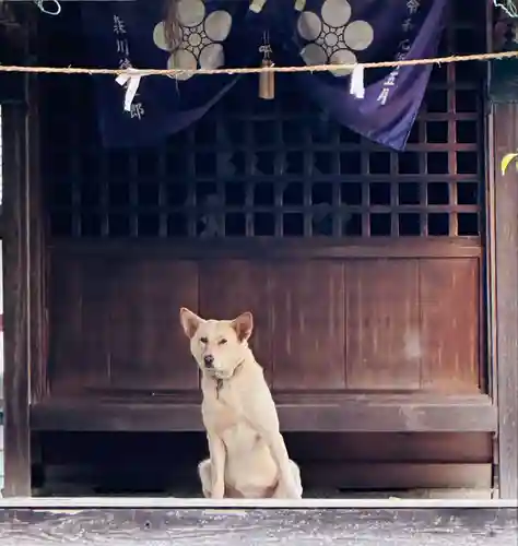 先聖寺(愛知県)