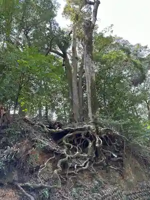 射山神社(三重県)