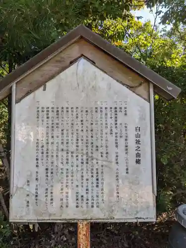 尾張白山神社の歴史