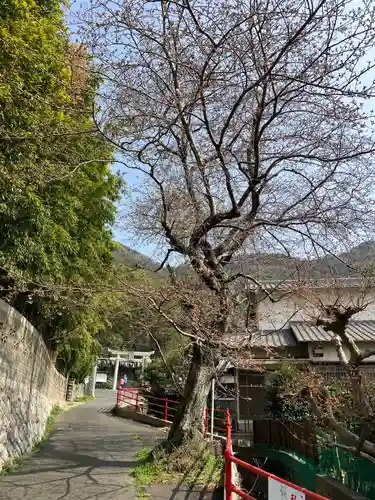 大山祇神社の建物その他