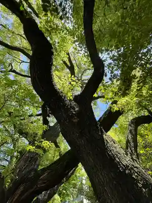 若一神社(京都府)