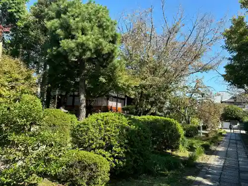 本満寺（本願満足寺）(京都府)