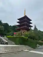 高幡不動尊 金剛寺の{uncategorized: "未分類", other: "その他", undefined: "問題あり", building: "その他建物", grave: "お墓", sacred_gate: "鳥居", guardian: "狛犬", statue: "像", buddha: "仏像", history: "歴史", nature: "自然", garden: "庭園", animal: "動物", pagoda: "塔", temizu: "手水舎", mountain_gate: "山門・神門", sanctuary: "本殿・本堂", subordinate: "末社・摂社", art: "芸術", scenery: "景色", jizo: "地蔵", ema: "絵馬", goshuin: "御朱印", omikuji: "おみくじ", items: "授与品その他", amulet: "お守り", goshuincho: "御朱印帳", eats: "食事", festival: "お祭り", votive_dance: "神楽", shichigosan: "七五三参", wedding: "結婚式", experience: "体験その他", initially: "初詣", around: "周辺", anti_infection: "感染症対策"}