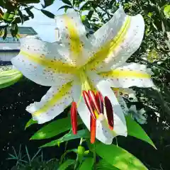 豊景神社の自然