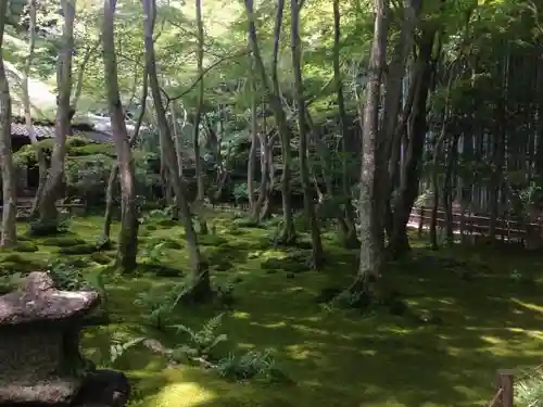 祇王寺の庭園