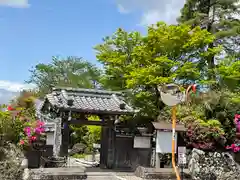 石薬師寺の山門