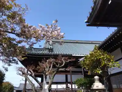 妙傳寺(京都府)