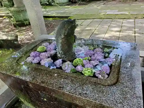 神炊館神社 ⁂奥州須賀川総鎮守⁂の手水舎