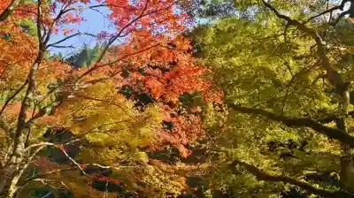 貴船神社の周辺