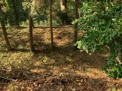 天御中主神社(千葉県)