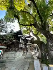 石切劔箭神社(大阪府)