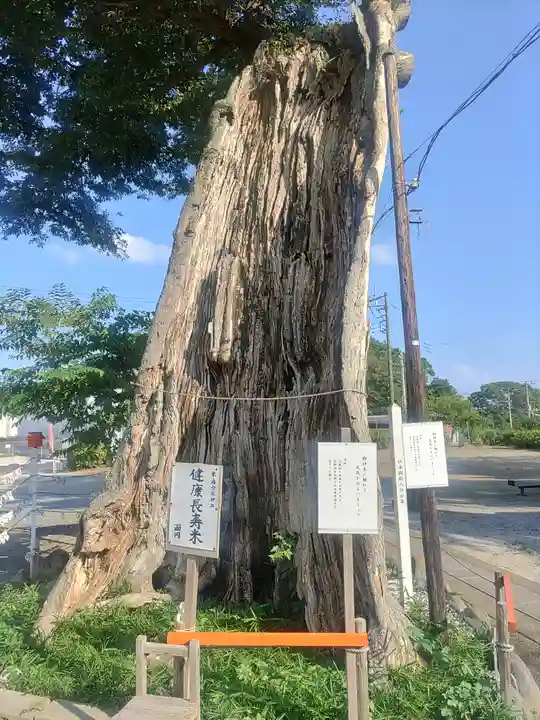 米島香取神社(埼玉県)