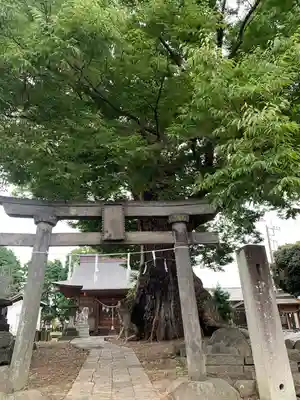 早尾神社(群馬県)